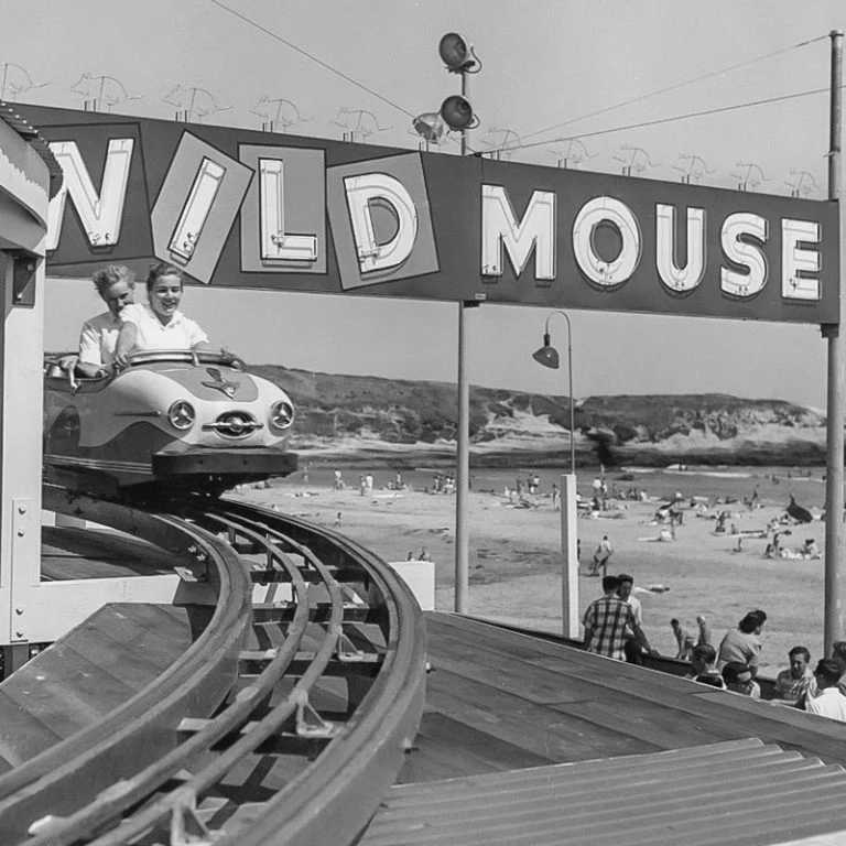 wild mouse ride