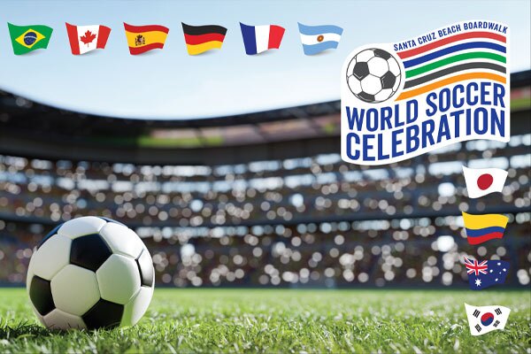 soccer ball with flag graphics