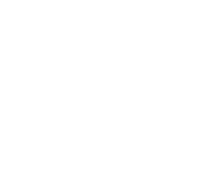 Scout Overnight