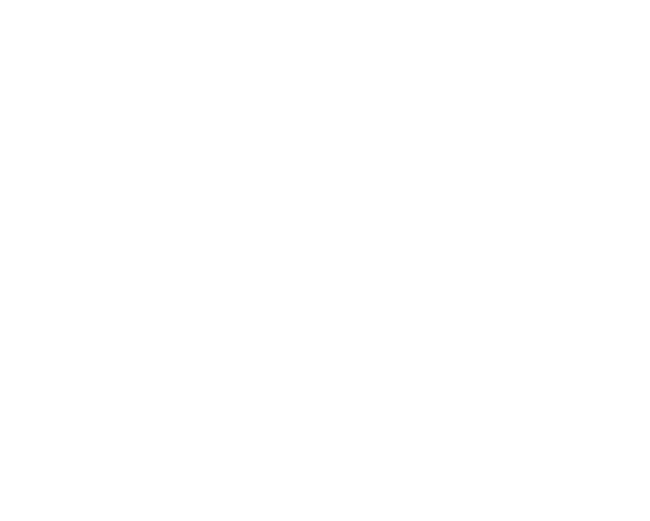 Boardwalk Overnights