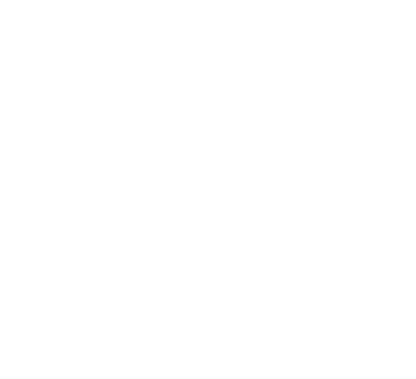 Girl Scout Overnight