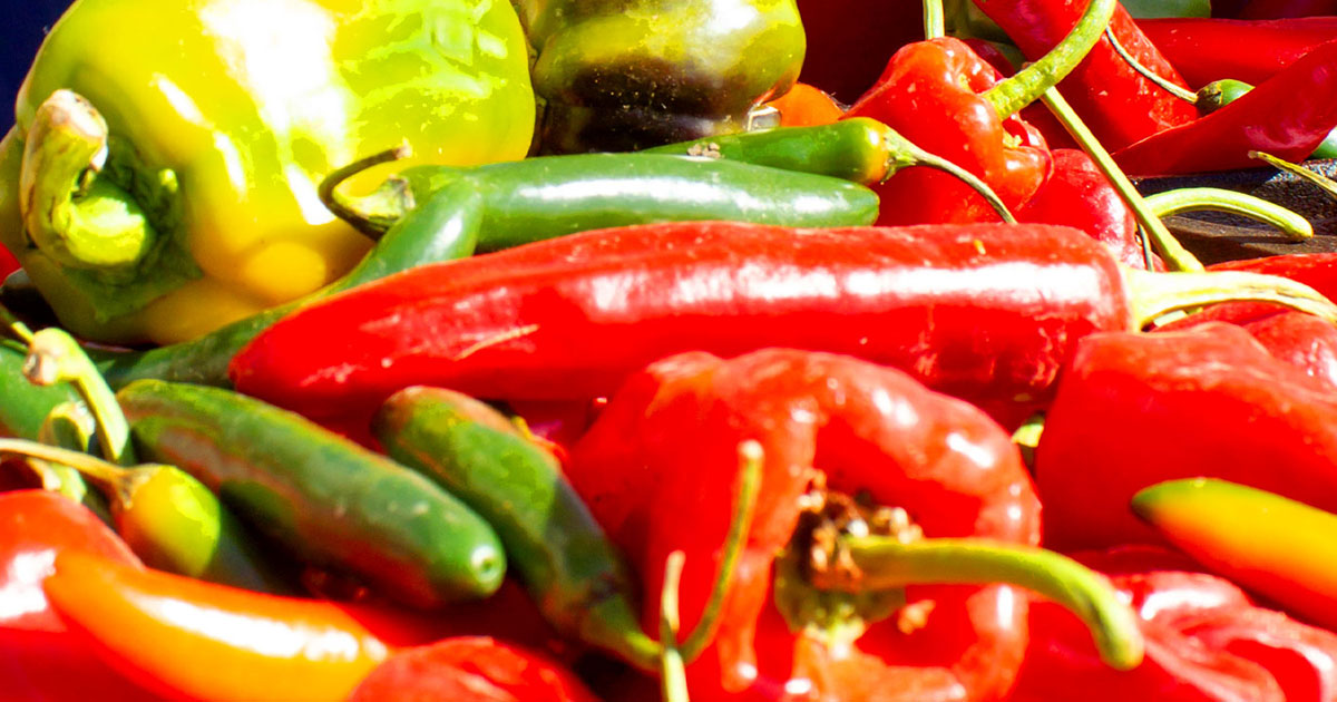 chili peppers